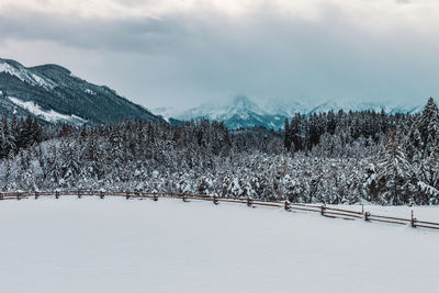 Winter landscape in the bavarian alps, germany.