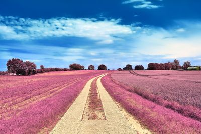 Road amidst field against sky