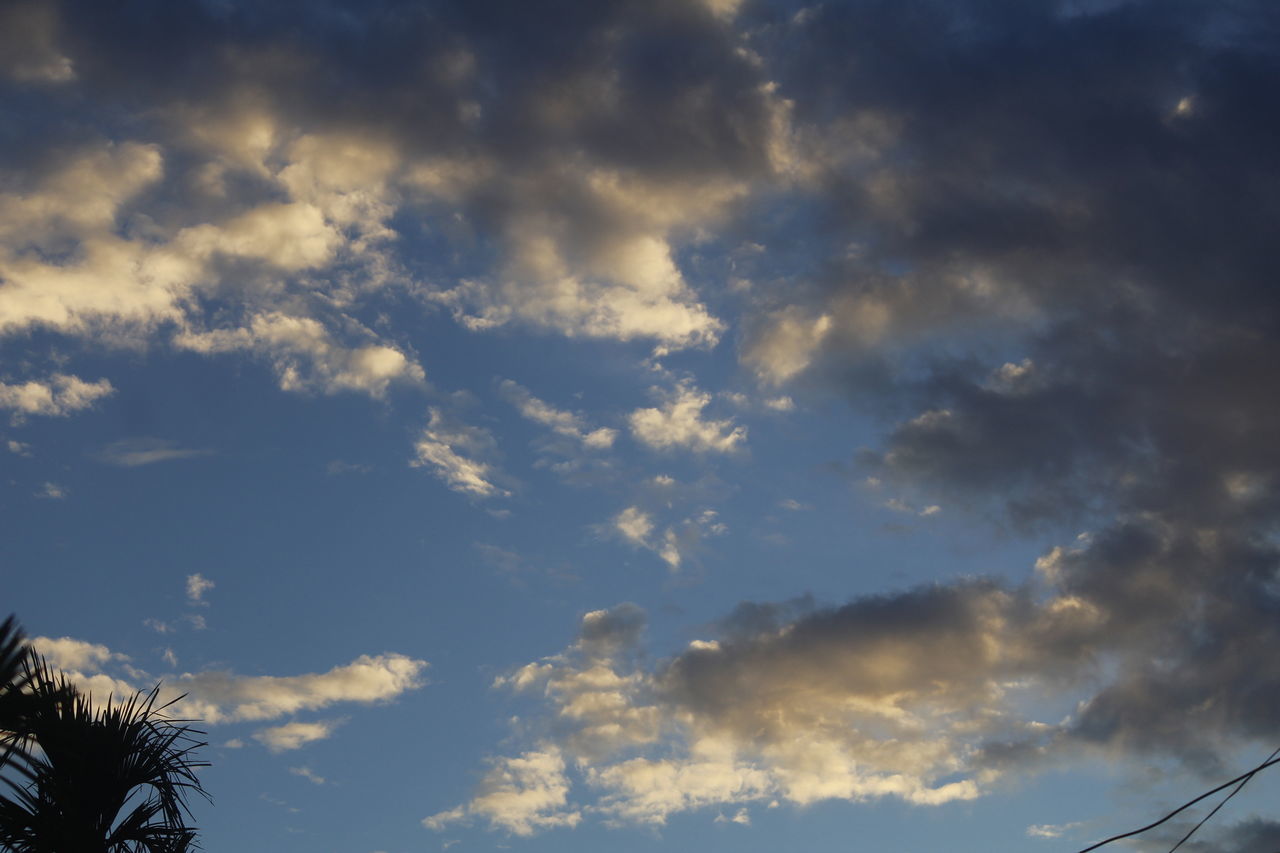 sky, cloud, sunlight, dusk, nature, low angle view, evening, sunset, beauty in nature, tree, horizon, no people, sun, scenics - nature, outdoors, tranquility, cloudscape, plant, silhouette, dramatic sky, blue, tranquil scene, afterglow