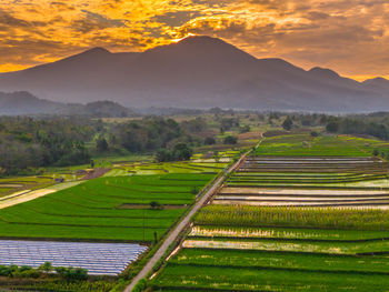 landscape