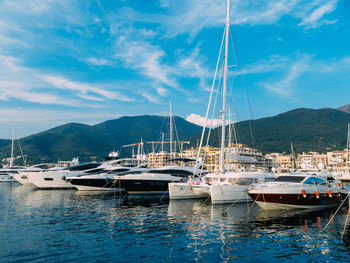 Sailboats moored in harbor