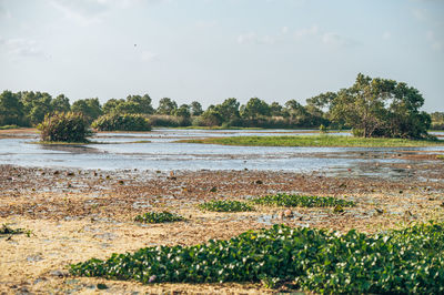 Scenic view of lake against sky