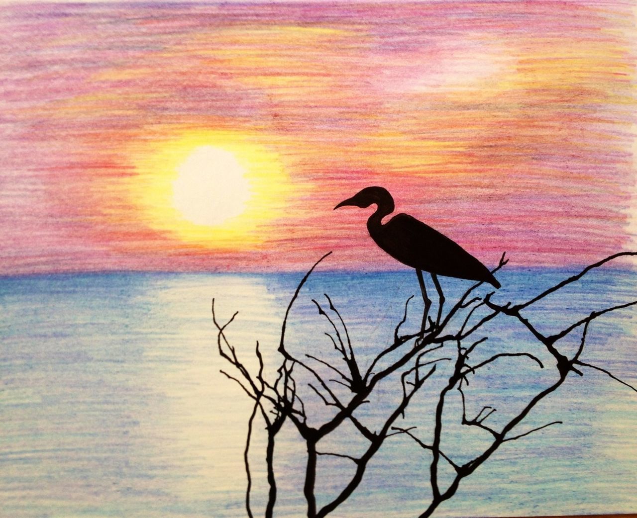 bird, animal themes, animals in the wild, wildlife, perching, one animal, sunset, branch, silhouette, bare tree, nature, orange color, beauty in nature, full length, water, tree, tranquility, outdoors, no people, lake