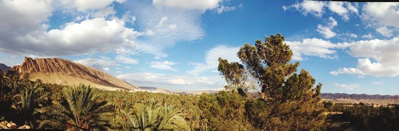 Scenic view of field against cloudy sky