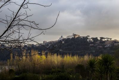Scenic view of trees and buildings against sky