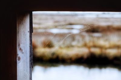 Close-up of broken glass window