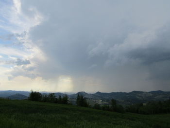 Scenic view of field against sky