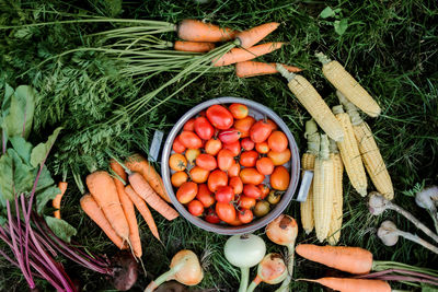 High angle view of vegetables on table