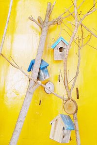 Bird houses on bare tree against yellow wall