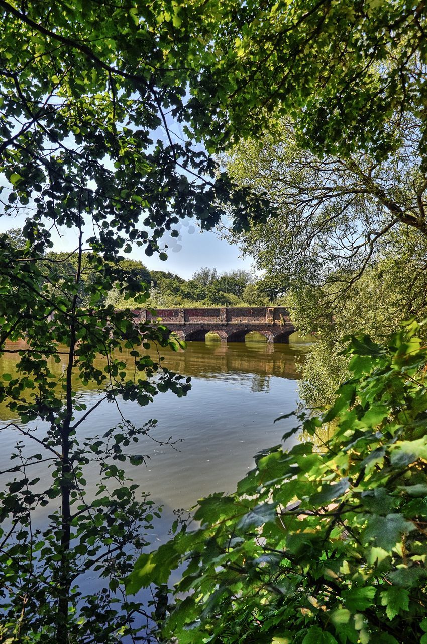 tree, plant, water, growth, nature, reflection, built structure, day, architecture, green color, lake, tranquility, beauty in nature, leaf, no people, sky, plant part, building exterior, tranquil scene, outdoors