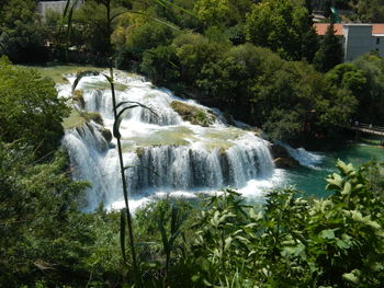 Scenic view of waterfall in forest