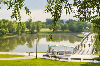 View of calm lake against trees
