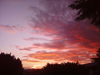 Low angle view of silhouette trees against dramatic sky