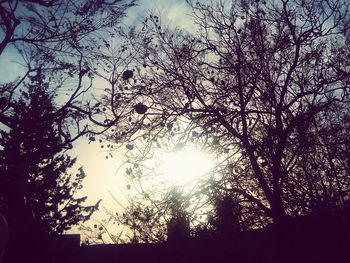 Low angle view of silhouette trees against sky during sunset