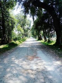 Dirt road amidst trees against sky