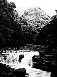 River flowing through rocks