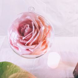 Close-up of pink rose on table