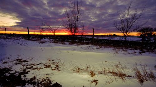 Bare trees on snow covered landscape against sky