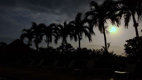 Low angle view of silhouette trees against sky during sunset