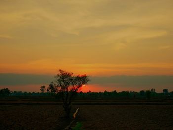 Scenic view of field against sky during sunset