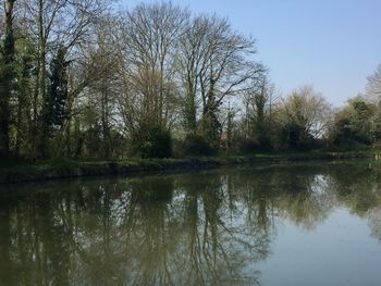 Scenic view of lake in forest against sky