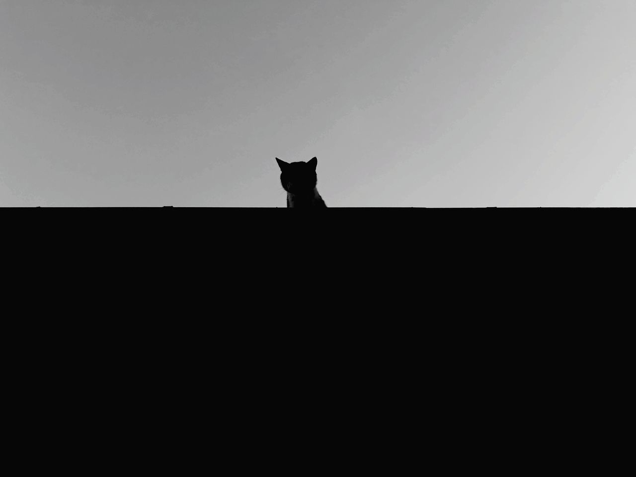 LOW ANGLE VIEW OF SILHOUETTE CAT STANDING AGAINST SKY