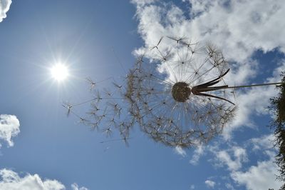 Low angle view of sun shining through clouds