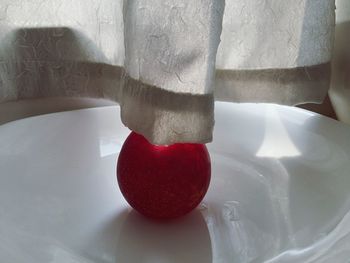 Close-up of red rose