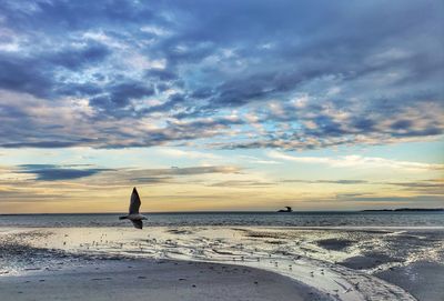 Scenic view of beach against sky during sunset