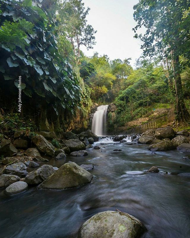 water, flowing water, waterfall, flowing, motion, long exposure, stream, rock - object, beauty in nature, scenics, tree, nature, river, forest, waterfront, blurred motion, rock formation, idyllic, splashing, rock