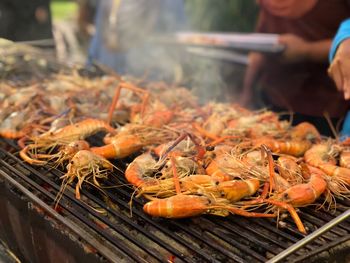 Close-up of prawns on barbecue grill