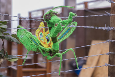 Mamboreta made of wool hooked on barbed wire