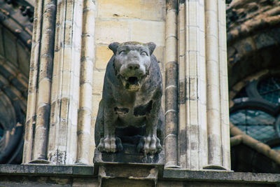 Low angle view of animal on building