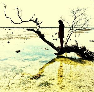 Woman standing by tree trunk