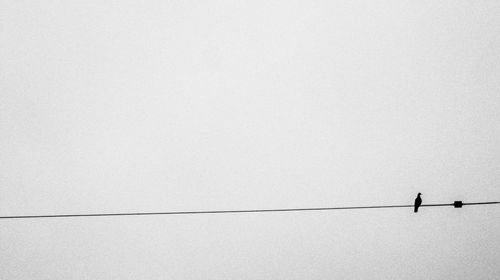 Low angle view of silhouette birds on cable against clear sky