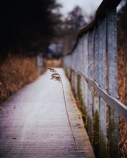 View of walkway