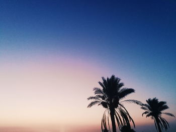 Silhouette palm trees against clear blue sky