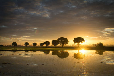 Reflection of trees on water against cloudy sky during sunset