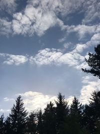 Low angle view of silhouette trees against sky