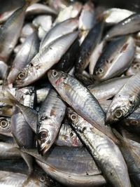 Full frame shot of fish for sale in market