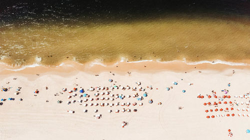 High angle view of people on beach