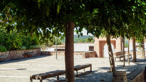 Empty chairs and table against trees in park