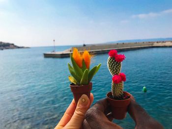 Close-up of hand holding plants by sea against sky