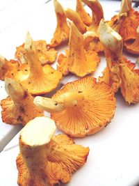 Close-up of food