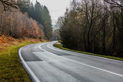 Empty forest road amidst winter bare trees, asphalt and winding with a curve in the background