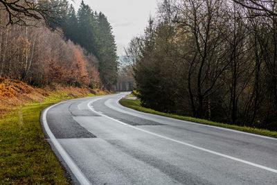 Empty road amidst trees