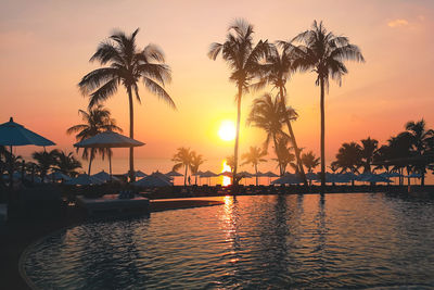 Silhouette of palm trees by swimming pool during sunset