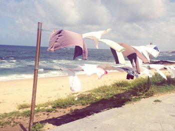 Birds on beach against sky