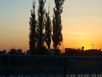 Silhouette trees against sky during sunset