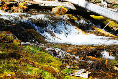 Scenic view of waterfall